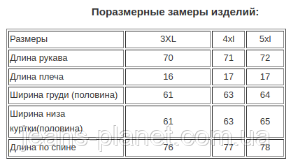 Куртка чоловіча джинсова синього кольору Pagalee великі розміри — изображение 6